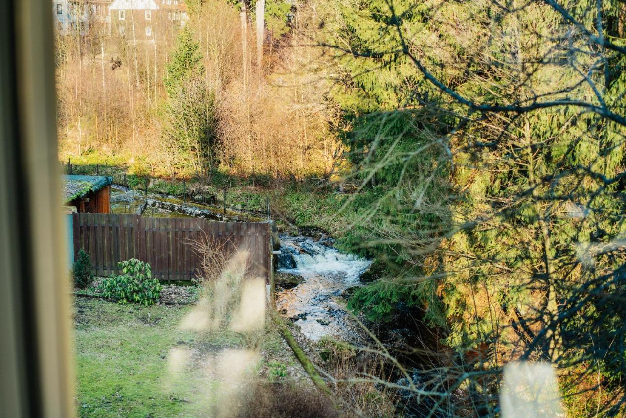 Ferienwohnung Kiefer Braunlage Kültér fotó